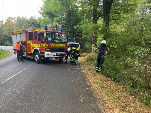 Einsatz 06.09.2024 - H1 Baum auf Fahrradweg